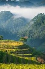 抖阴大象传媒在线观看-抖阴大象传媒，网络时代的视觉盛宴